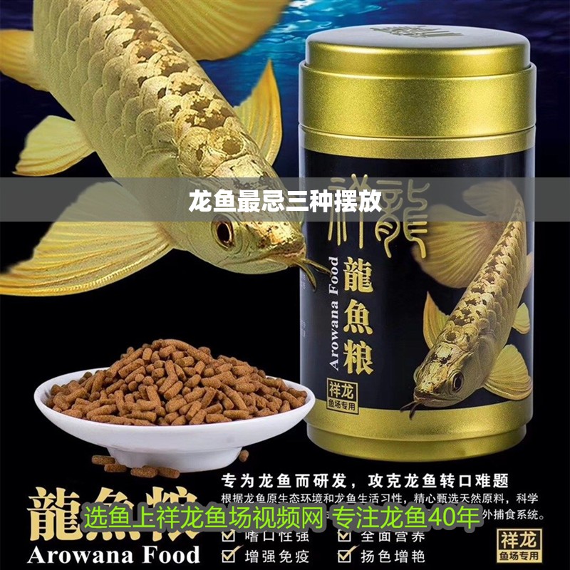 龍魚最忌三種擺放 龍魚最忌三種擺放 龍魚論壇