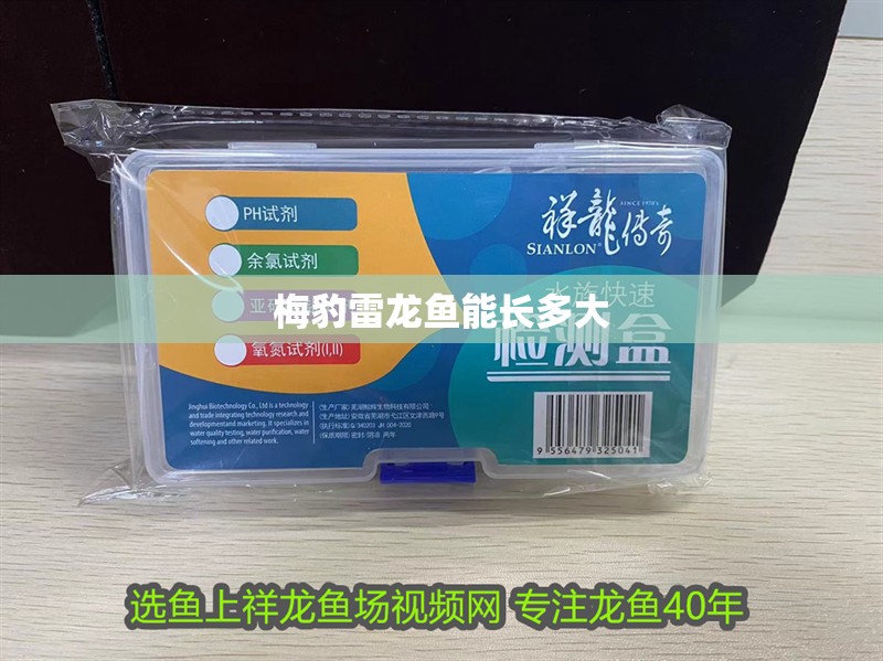 梅豹雷龍魚能長多大