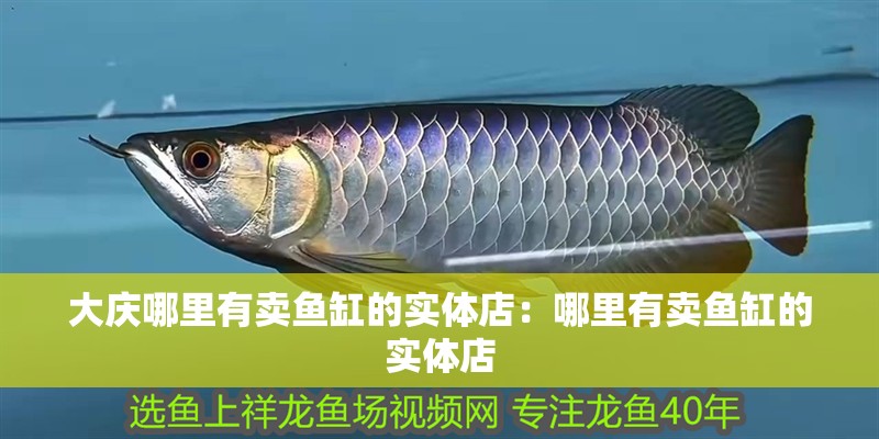 大慶哪里有賣魚缸的實體店：哪里有賣魚缸的實體店