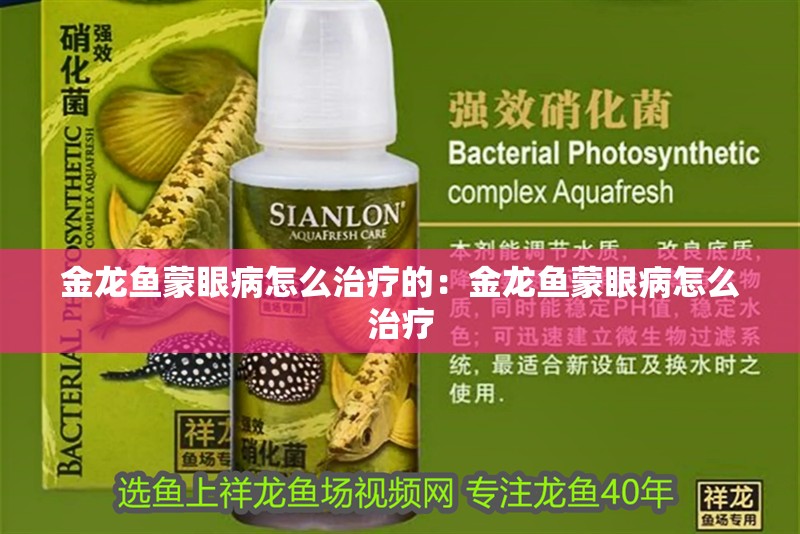 金龍魚蒙眼病怎么治療的：金龍魚蒙眼病怎么治療