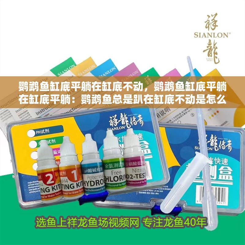 鸚鵡魚缸底平躺在缸底不動，鸚鵡魚缸底平躺在缸底平躺：鸚鵡魚總是趴在缸底不動是怎么回事？