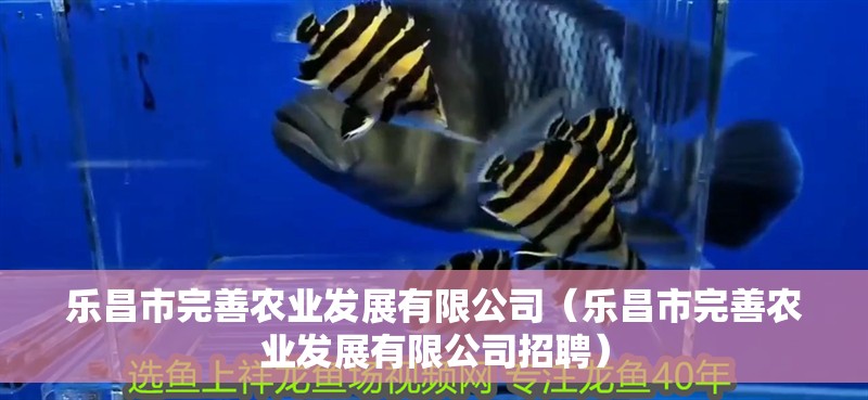 樂昌市完善農(nóng)業(yè)發(fā)展有限公司（樂昌市完善農(nóng)業(yè)發(fā)展有限公司招聘）