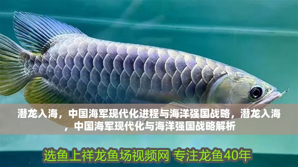 潛龍入海，中國海軍現代化進程與海洋強國戰略，潛龍入海，中國海軍現代化與海洋強國戰略解析