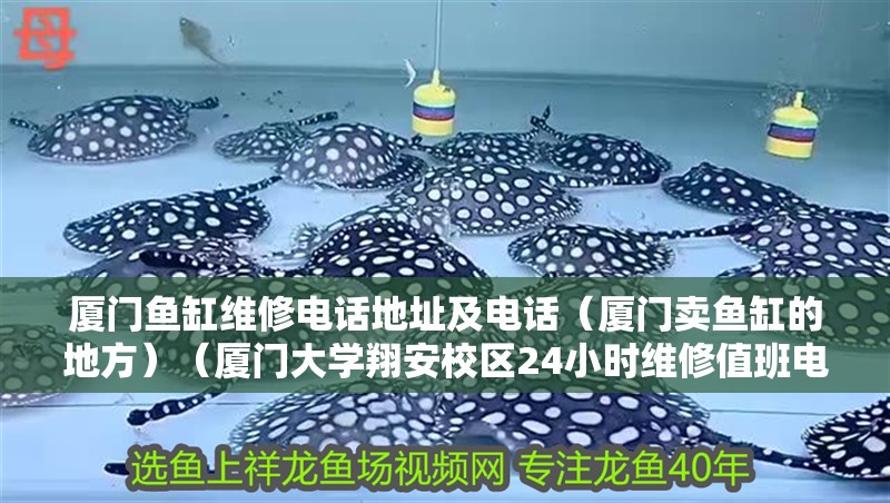 廈門魚缸維修電話地址及電話（廈門賣魚缸的地方）（廈門大學翔安校區24小時維修值班電話）