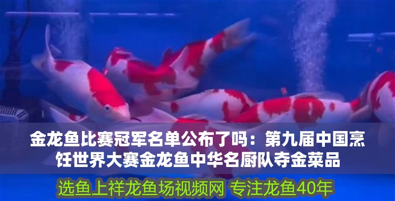 金龍魚比賽冠軍名單公布了嗎：第九屆中國烹飪世界大賽金龍魚中華名廚隊奪金菜品