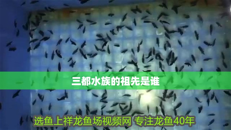 <strong><mark>三都</mark></strong>水族的祖先是誰