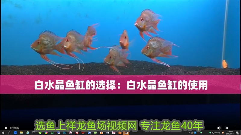 白水晶魚(yú)缸的選擇：白水晶魚(yú)缸的使用