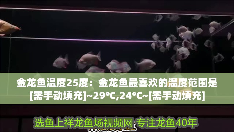 金龍魚溫度25度：金龍魚最喜歡的溫度范圍是[需手動填充]~29℃,24℃~[需手動填充]