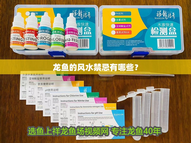 龍魚(yú)的風(fēng)水禁忌有哪些？