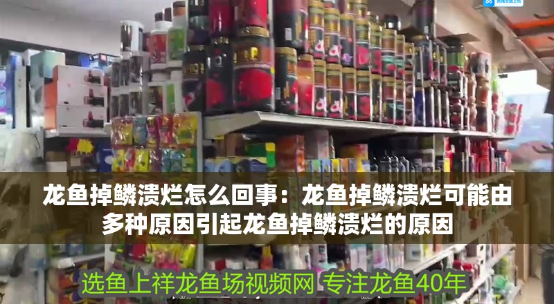 龍魚掉鱗潰爛怎么回事：龍魚掉鱗潰爛可能由多種原因引起龍魚掉鱗潰爛的原因