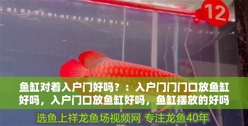 魚缸對著入戶門好嗎？：入戶門門門口放魚缸好嗎，入戶門口放魚缸好嗎，魚缸擺放的好嗎
