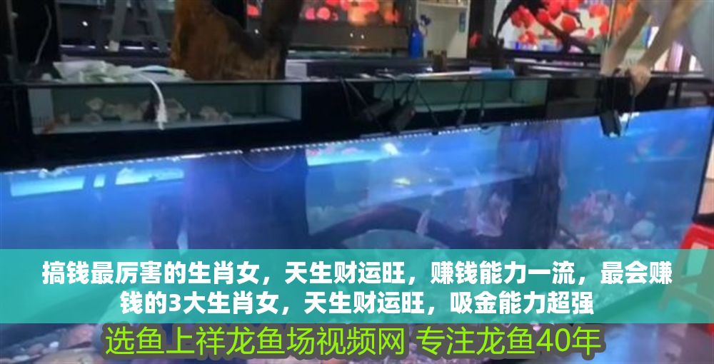 搞錢最厲害的生肖女，天生財運旺，賺錢能力一流，最會賺錢的3大生肖女，天生財運旺，吸金能力超強