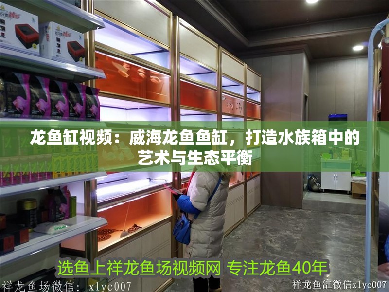 龍魚缸視頻：威海龍魚魚缸，打造水族箱中的藝術與生態平衡