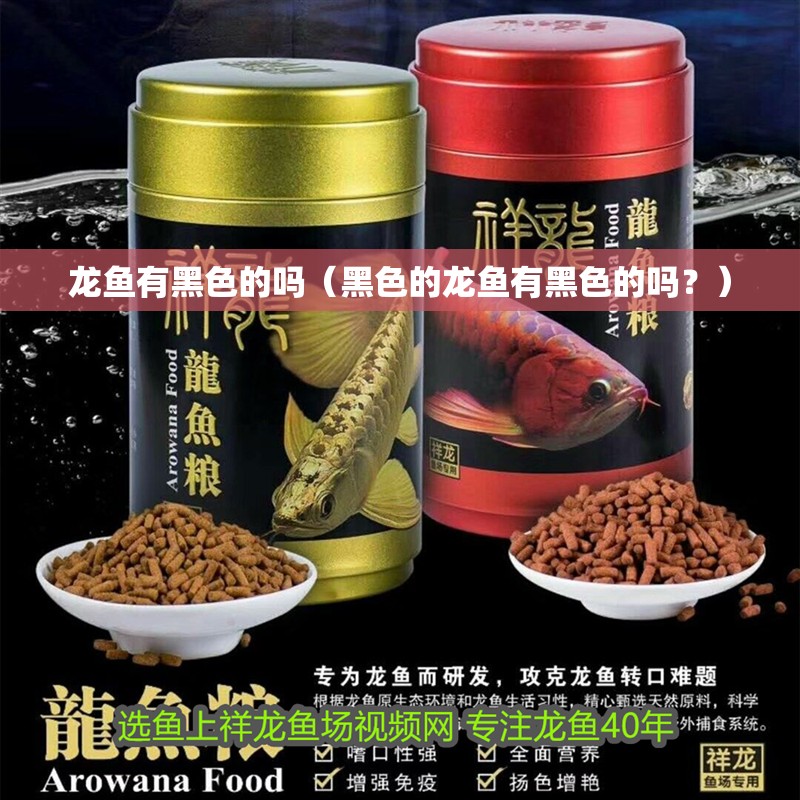 龍魚(yú)有黑色的嗎（黑色的龍魚(yú)有黑色的嗎？）
