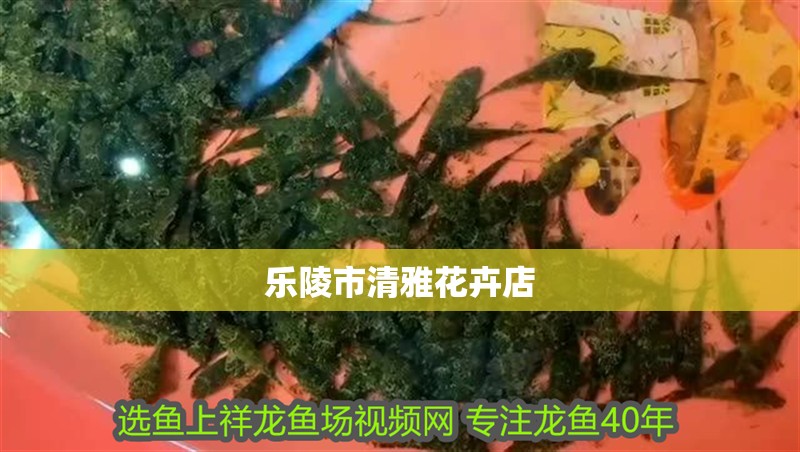 樂陵市清雅花卉店
