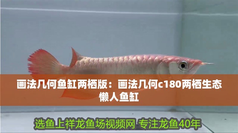 畫(huà)法幾何魚(yú)缸兩棲版：畫(huà)法幾何c180兩棲生態(tài)懶人魚(yú)缸