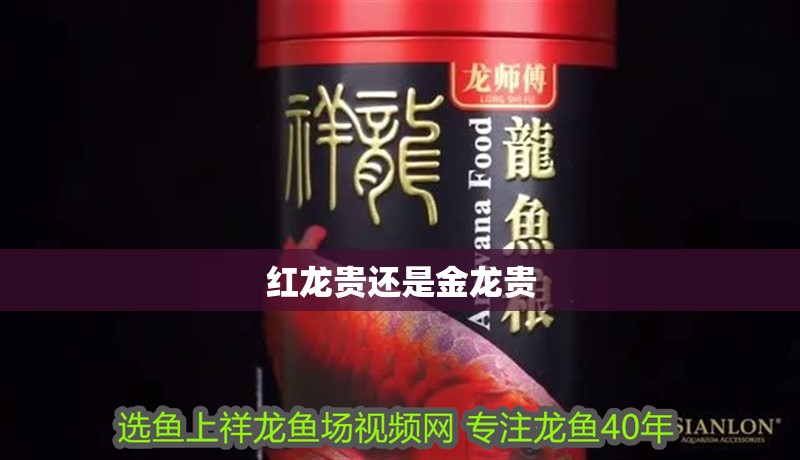 紅龍貴還是金龍貴