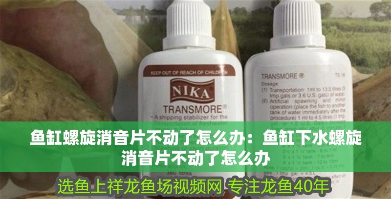 龍魚干蝦有營養嗎 魚缸螺旋消音片不動了怎么辦:魚缸下水螺旋消音片不動了怎么辦 魚缸百科 魚缸螺旋消音片不動了怎么辦:魚缸下水螺旋消音片不動了怎么辦 魚缸螺旋消音片不動了怎么辦:魚缸下水螺旋消音片不動了怎么辦 魚缸百科