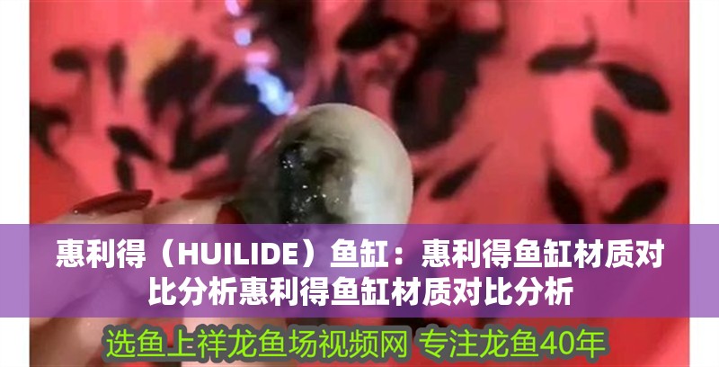 惠利得（HUILIDE）魚缸：惠利得魚缸材質對比分析惠利得魚缸材質對比分析