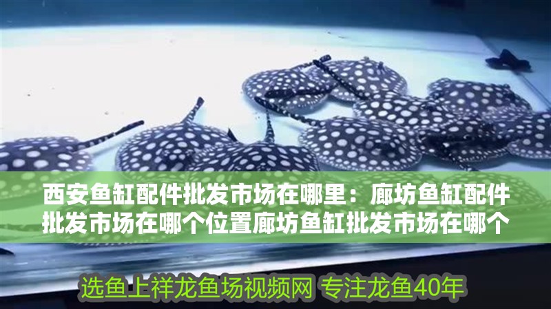 西安魚缸配件批發(fā)市場(chǎng)在哪里：廊坊魚缸配件批發(fā)市場(chǎng)在哪個(gè)位置廊坊魚缸批發(fā)市場(chǎng)在哪個(gè)位置呀