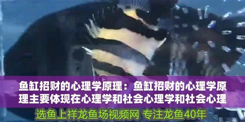 魚缸招財的心理學原理：魚缸招財的心理學原理主要體現在心理學和社會心理學和社會心理學