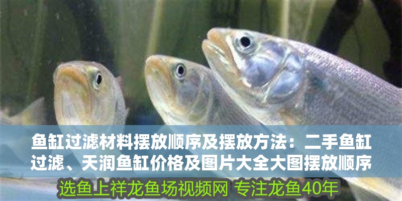 魚缸過濾材料擺放順序及擺放方法：二手魚缸過濾、天潤魚缸價格及圖片大全大圖擺放順序
