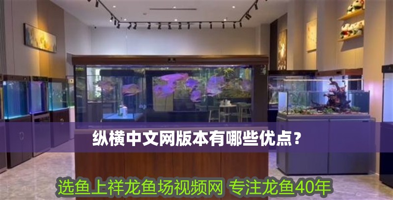 縱橫中文網版本有哪些優點？