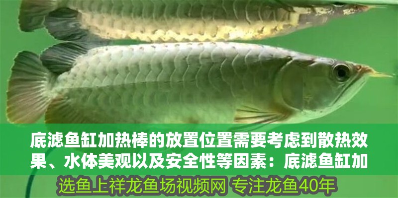 底濾魚缸加熱棒的放置位置需要考慮到散熱效果、水體美觀以及安全性等因素：底濾魚缸加熱棒放置位置