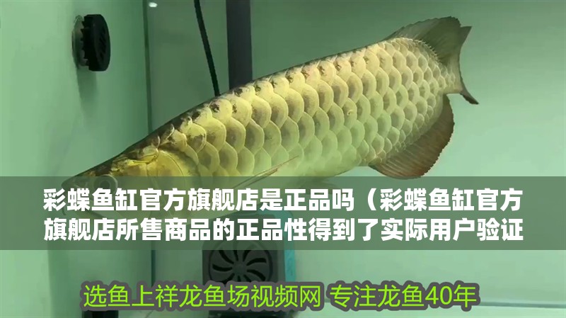 彩蝶魚缸官方旗艦店是正品嗎（彩蝶魚缸官方旗艦店所售商品的正品性得到了實(shí)際用戶驗(yàn)證）