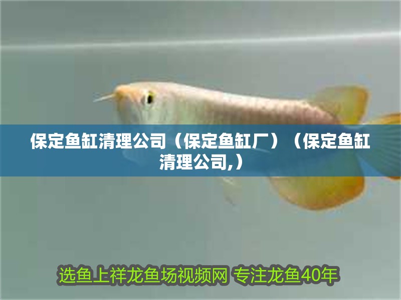 保定魚缸清理公司（保定魚缸廠）（保定魚缸清理公司,）