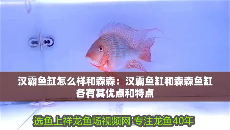 漢霸魚缸怎么樣和森森：漢霸魚缸和森森魚缸各有其優點和特點