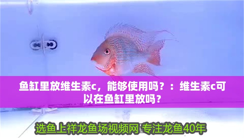 魚缸里放維生素c，能夠使用嗎？：維生素c可以在魚缸里放嗎？