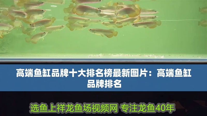 高端魚缸品牌十大排名榜最新圖片：高端魚缸品牌排名