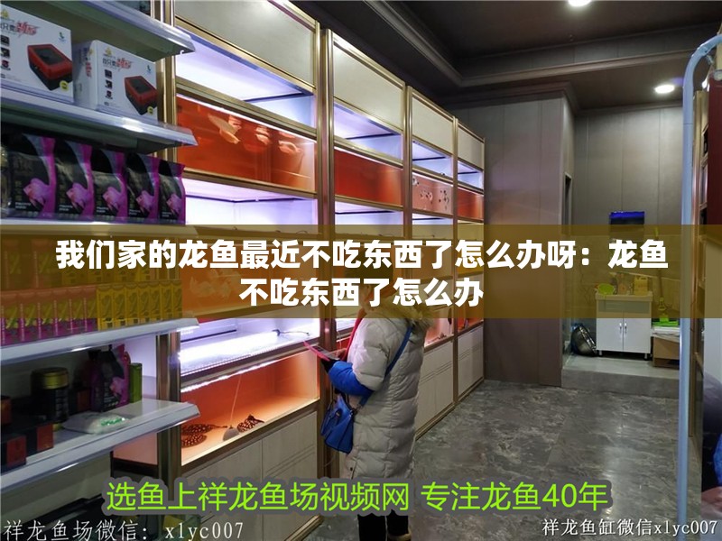 我們家的龍魚最近不吃東西了怎么辦呀：龍魚不吃東西了怎么辦