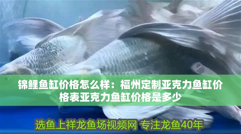 錦鯉魚缸價格怎么樣：福州定制亞克力魚缸價格表亞克力魚缸價格是多少