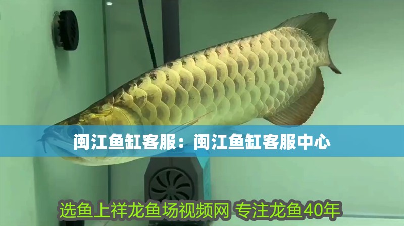 閩江魚缸客服：閩江魚缸客服中心