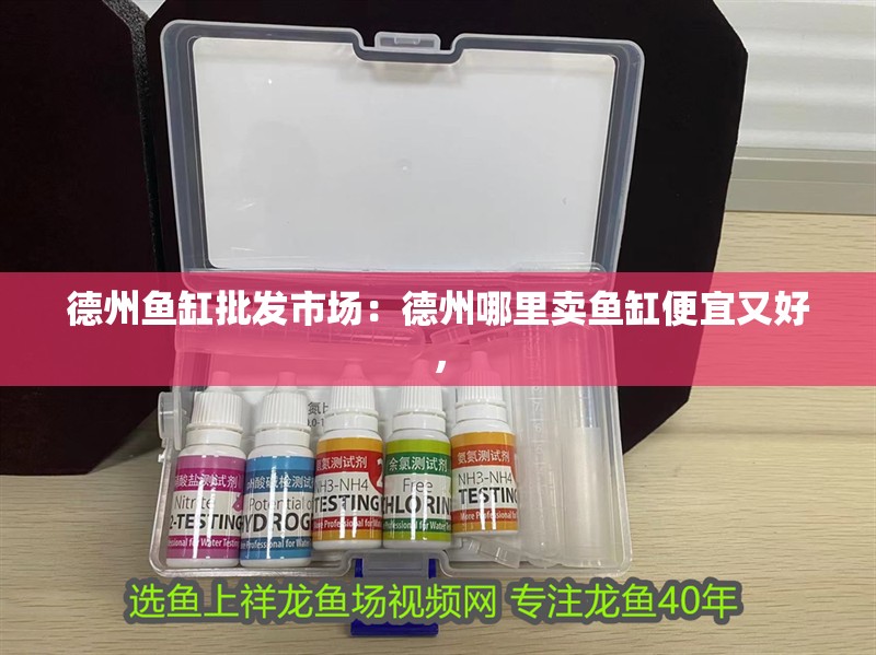 德州魚缸批發(fā)市場(chǎng)：德州哪里賣魚缸便宜又好， 德州魚缸批發(fā)市場(chǎng)：德州哪里賣魚缸便宜又好， 魚缸百科