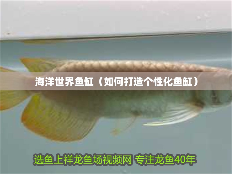 海洋世界魚缸（如何打造個性化魚缸）