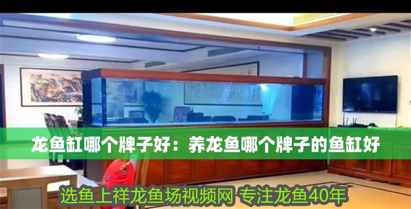 龍魚缸哪個牌子好：養龍魚哪個牌子的魚缸好