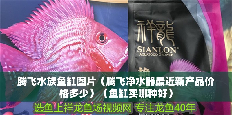 騰飛水族魚缸圖片（騰飛凈水器最近新產品價格多少）（魚缸買哪種好）
