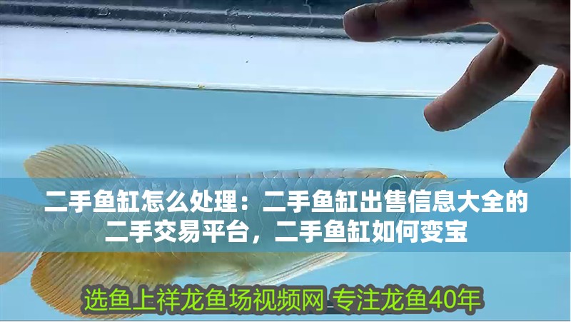 二手魚缸怎么處理：二手魚缸出售信息大全的二手交易平臺，二手魚缸如何變寶