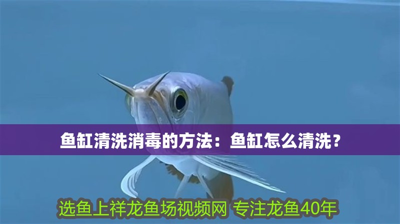 魚缸清洗消毒的方法：魚缸怎么清洗？