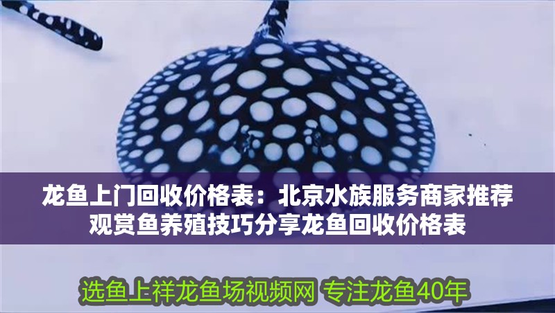 龍魚上門回收價格表：北京水族服務商家推薦觀賞魚養殖技巧分享龍魚回收價格表