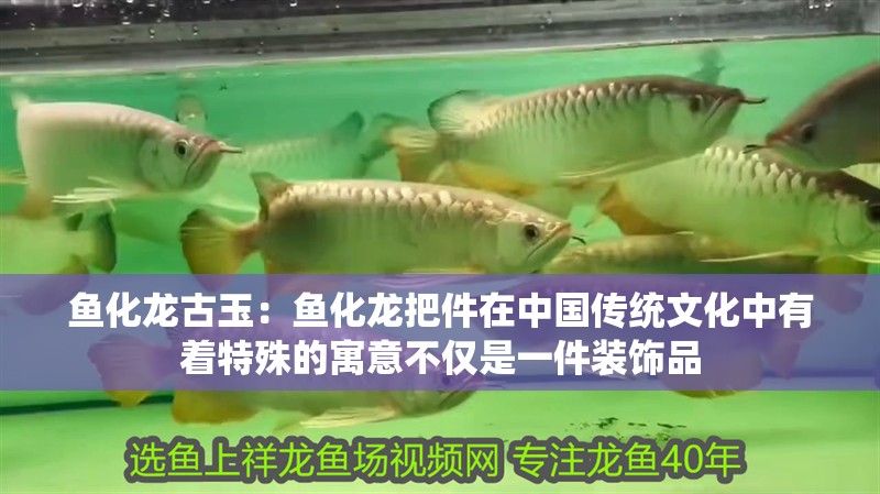 魚化龍古玉：魚化龍把件在中國傳統文化中有著特殊的寓意不僅是一件裝飾品