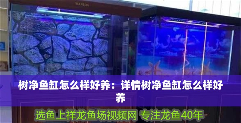 樹凈魚缸怎么樣好養：詳情樹凈魚缸怎么樣好養