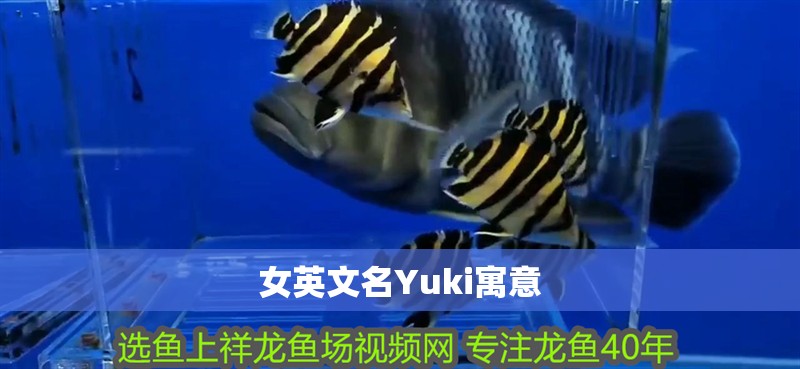 女英文名Yuki寓意