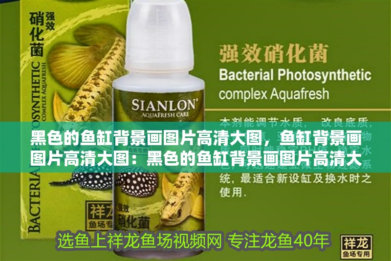 黑色的魚缸背景畫圖片高清大圖，魚缸背景畫圖片高清大圖：黑色的魚缸背景畫圖片高清大圖