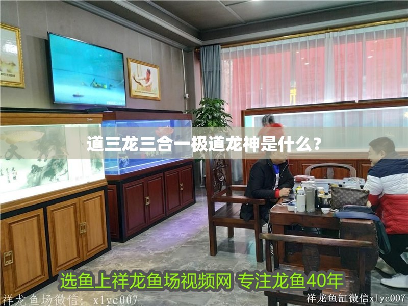 道三龍三合一極道龍神是什么？