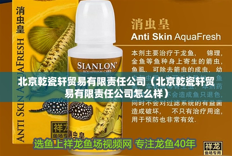 北京乾瓷軒貿易有限責任公司（北京乾瓷軒貿易有限責任公司怎么樣）