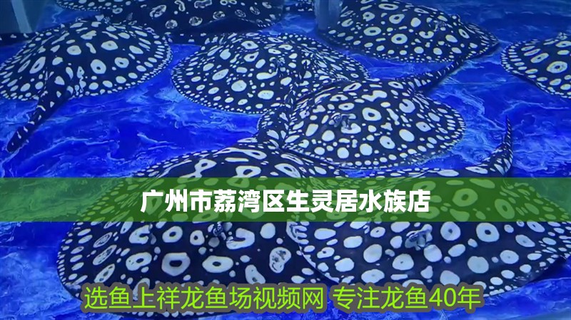 廣州市荔灣區(qū)生靈居水族店